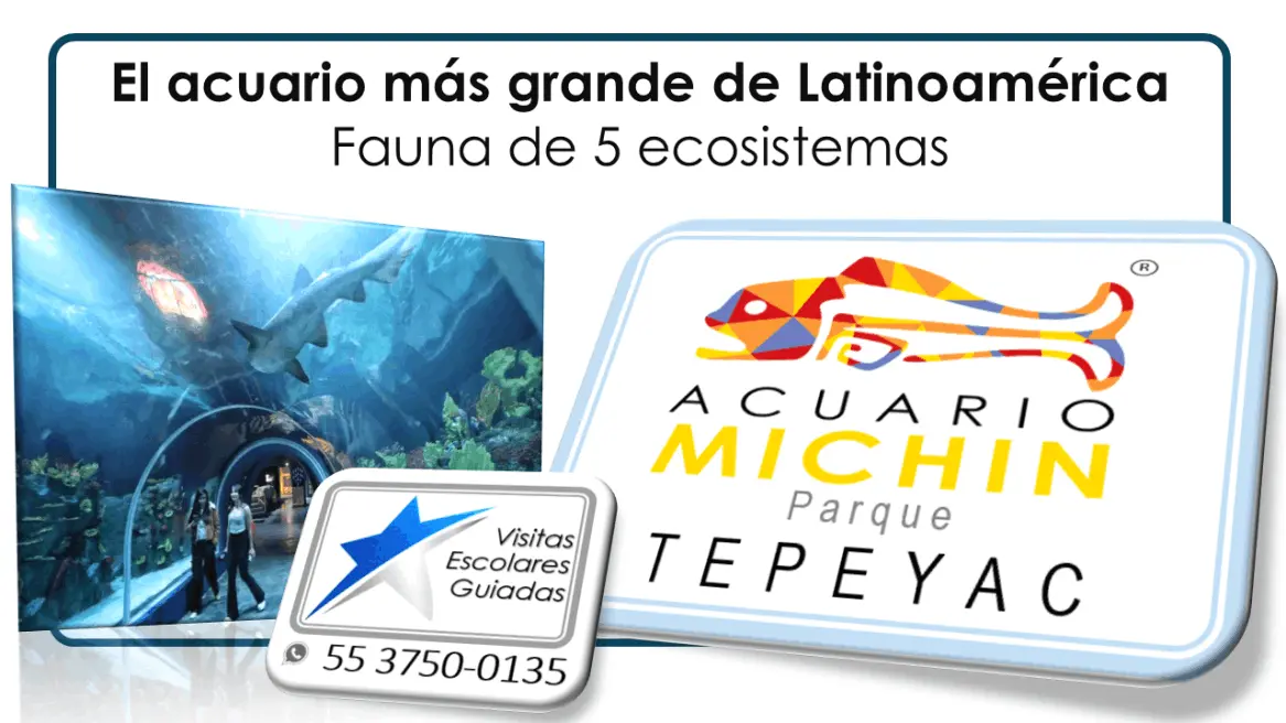 Acuario Michin VisitasEscolaresGuiadas.com