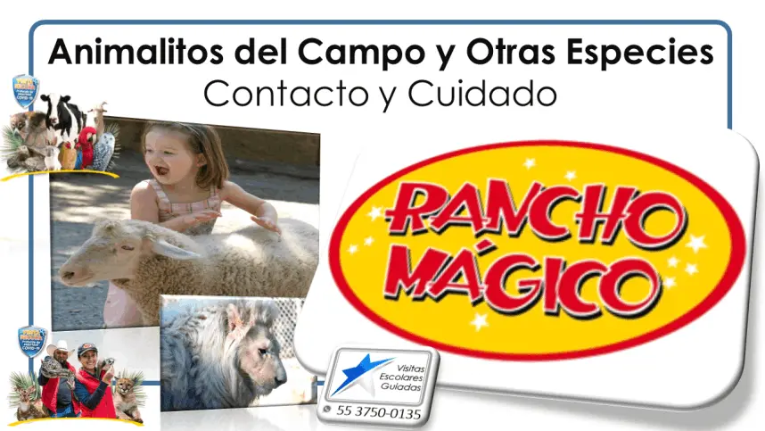 Rancho Mágico Visitas Escolares Guiadas